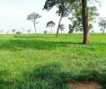 /album/fotos-importantes/fda-morangaba-13-jpg/